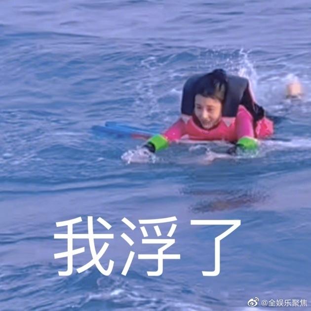 创作猫